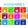 e_sdg_poster_un_emblem_print_2020.jpg